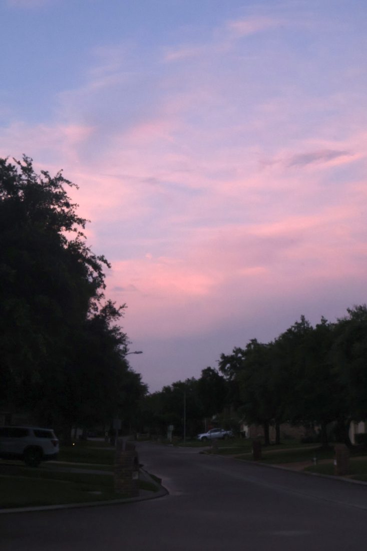 Pink and purple sunset over a tree-lined suburban street